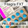 Filagra FXT new07